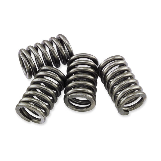 EBC Clutches CSK Clutch Spring Kits for Honda GL 1100 A Goldwing Aspencade 82-83