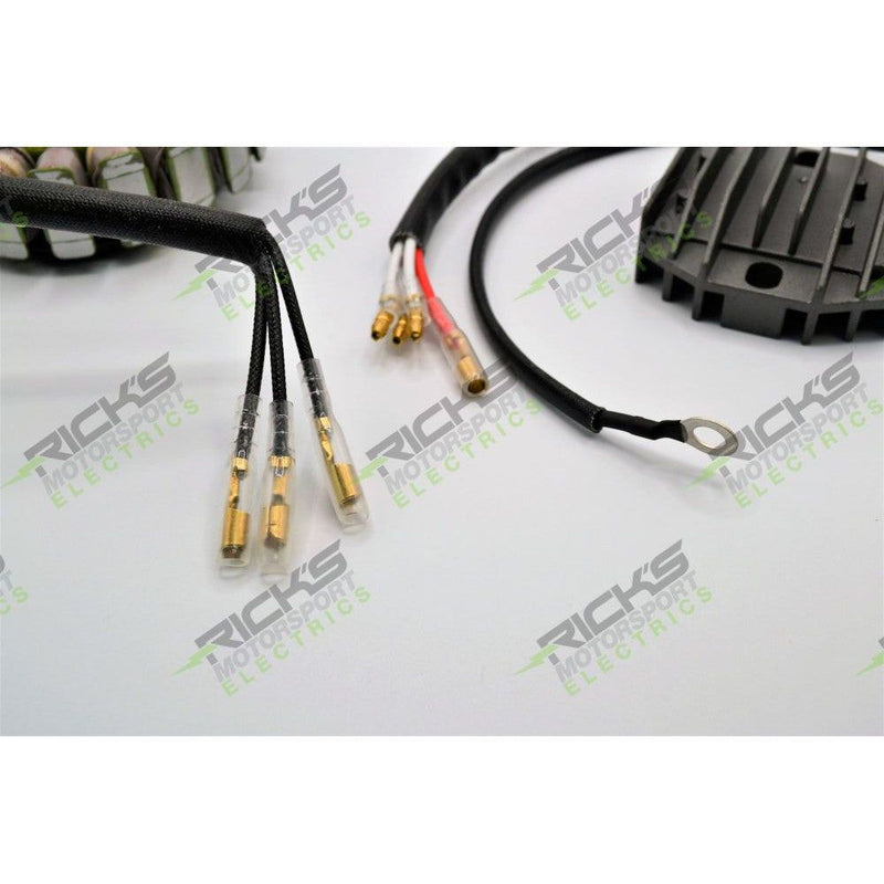 Load image into Gallery viewer, Ricks Hot Shot Series Charging Kit 14-99-200H
