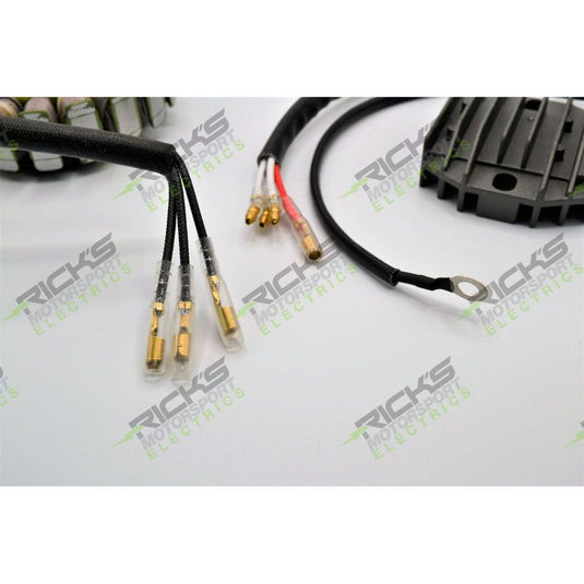 Ricks Hot Shot Series Charging Kit 14-99-200H
