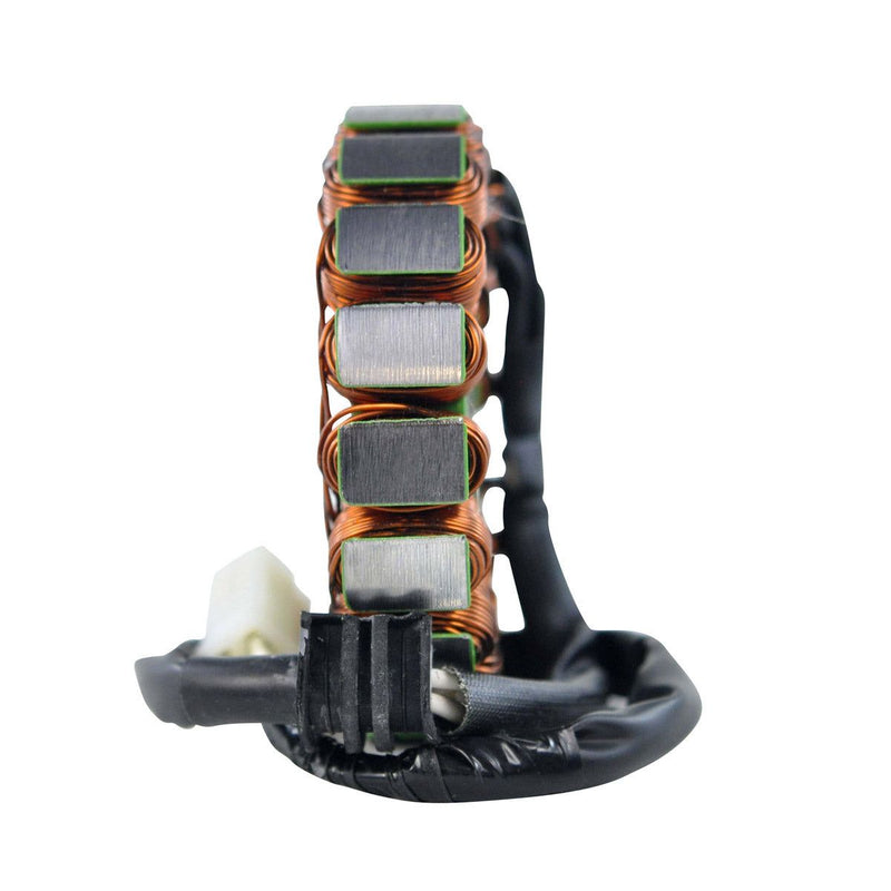 Load image into Gallery viewer, RMStator Stator RM01369
