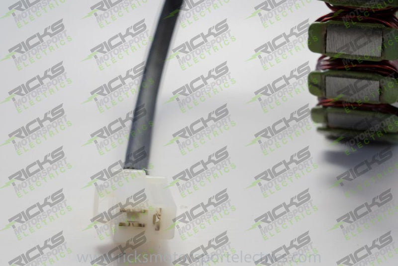 Load image into Gallery viewer, Ricks Stator 21-034
