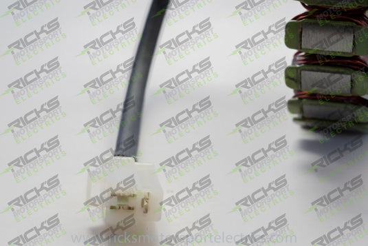 Ricks Stator 21-034