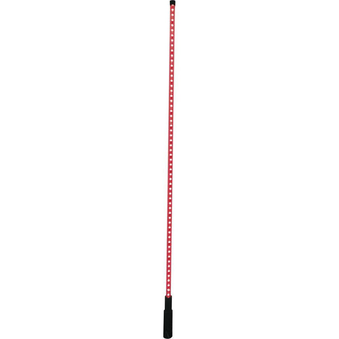 DragonFire Racing LED Lighted Whip V2 with Remote 4 FT Clear - 522605