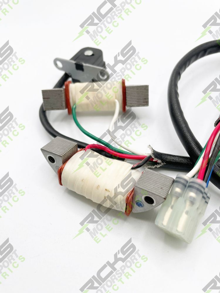 Load image into Gallery viewer, Ricks Stator Rebuild Kit 22-707
