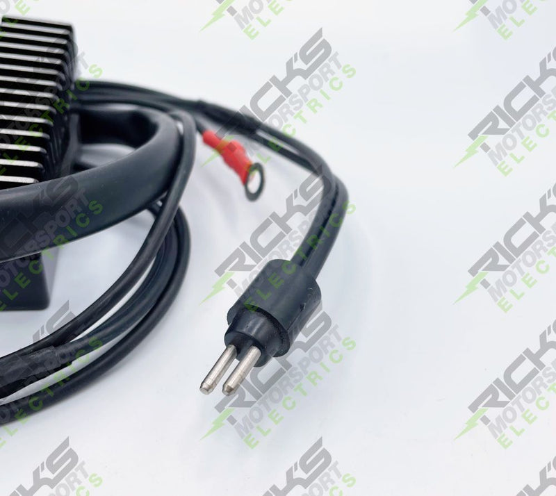 Load image into Gallery viewer, Ricks Rectifier-Regulator 10-916B
