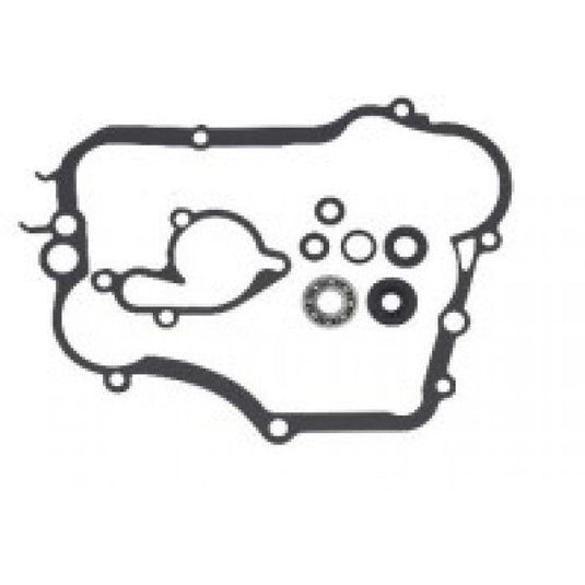 Psychic Water Pump Repair Kit MX-10261