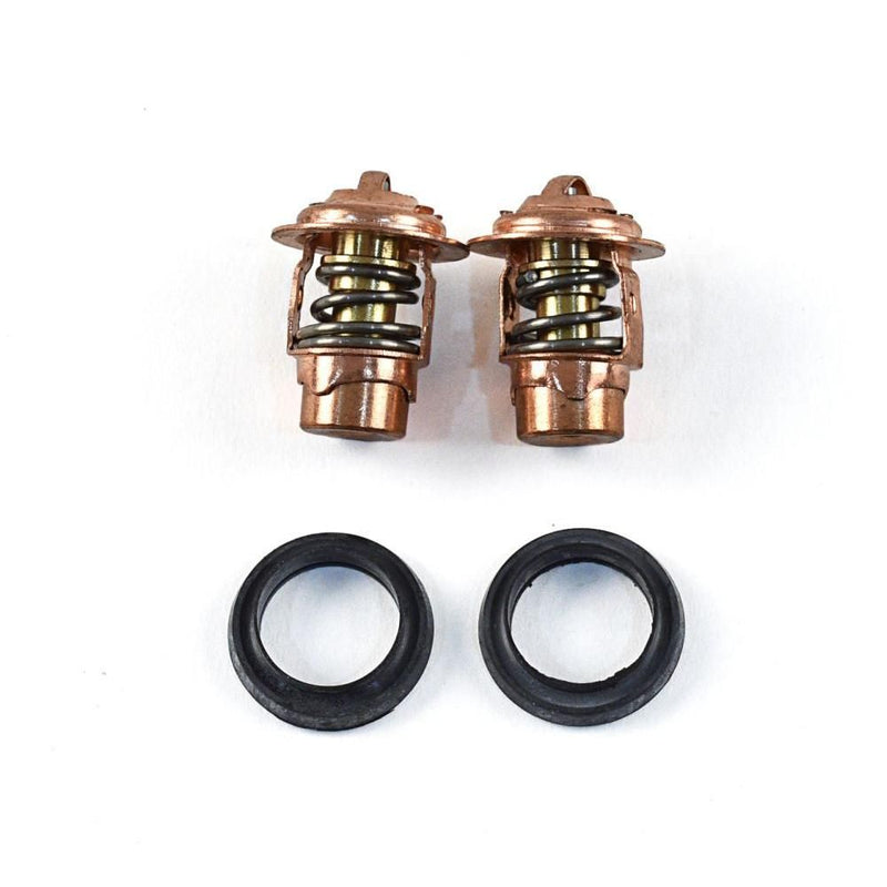 Load image into Gallery viewer, WSM Thermostat Kit for Mercury 2.0 - 3.0 Liter V6 775-25-2K
