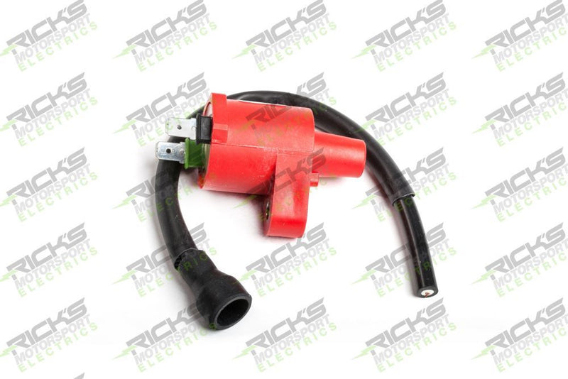 Load image into Gallery viewer, Ricks Ignition Coil 23-601
