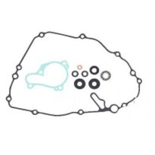 Psychic Water Pump Repair Kit MX-10262