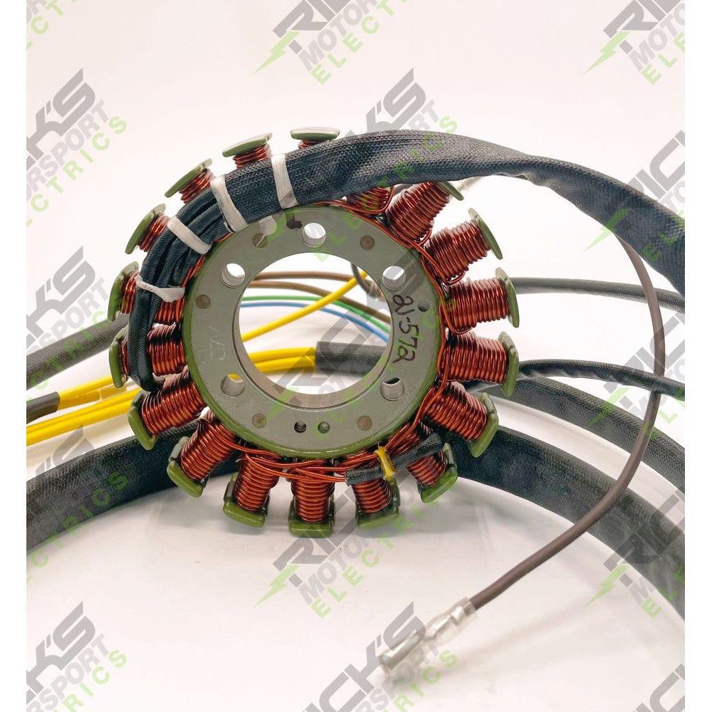 Ricks Stator 21-572