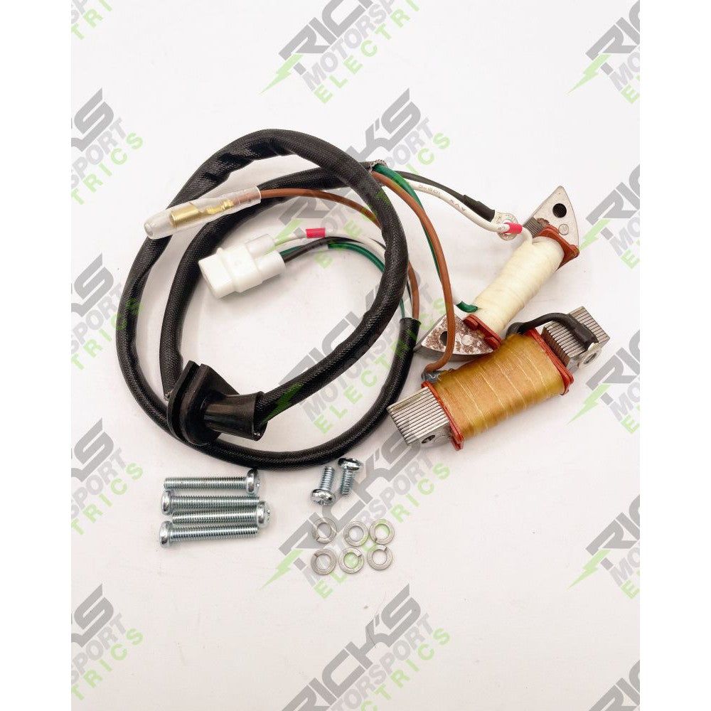 Ricks Stator Rebuild Kit For Yamaha YZ80 1997-2001 22-905