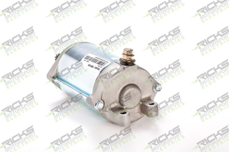 Load image into Gallery viewer, Ricks Starter Motor 61-317
