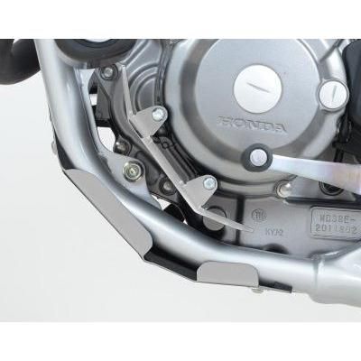 Load image into Gallery viewer, R&amp;G Racing Silver Engine Case Guard ECG0001SI
