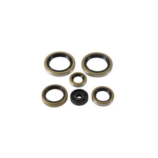 Vertex Oil Seal Kit 822370
