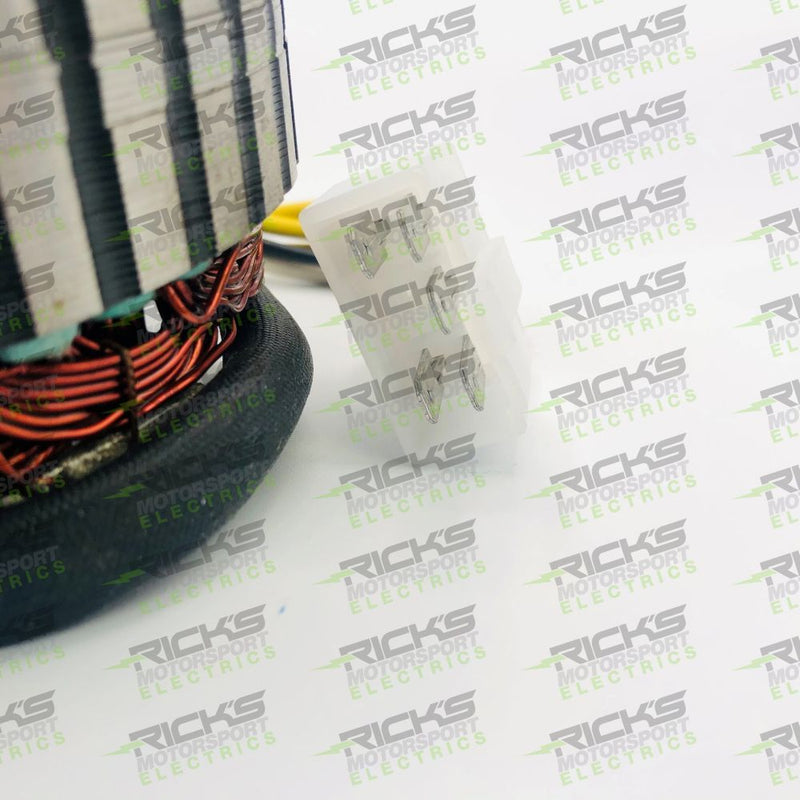 Load image into Gallery viewer, Ricks Stator For Honda CBR1000F 1987-1988 21-163
