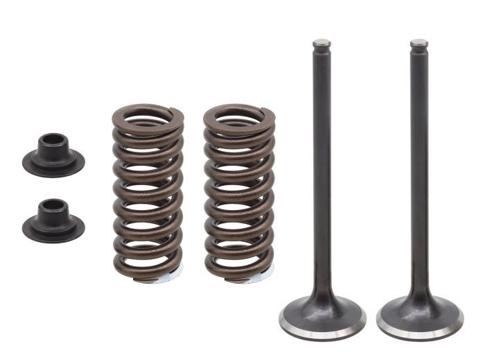 Load image into Gallery viewer, Psychic Exhaust Valve Kit XU-09566EK
