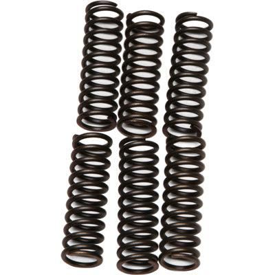 Load image into Gallery viewer, EBC CSK Series Heavy Duty Clutch Spring Kit for Yamaha YZF R6 1999-2002
