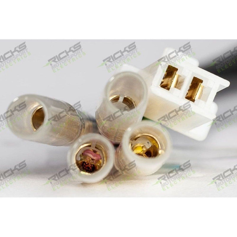 Load image into Gallery viewer, Ricks Hot Shot Series Stator 21-646H
