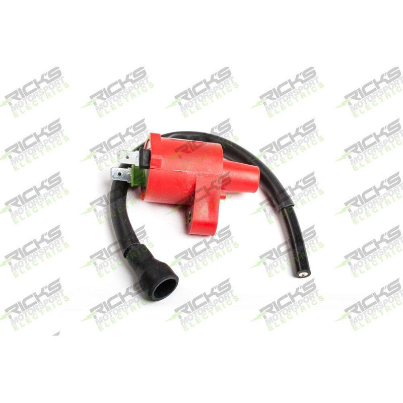 Load image into Gallery viewer, Ricks Ignition Coil 23-601
