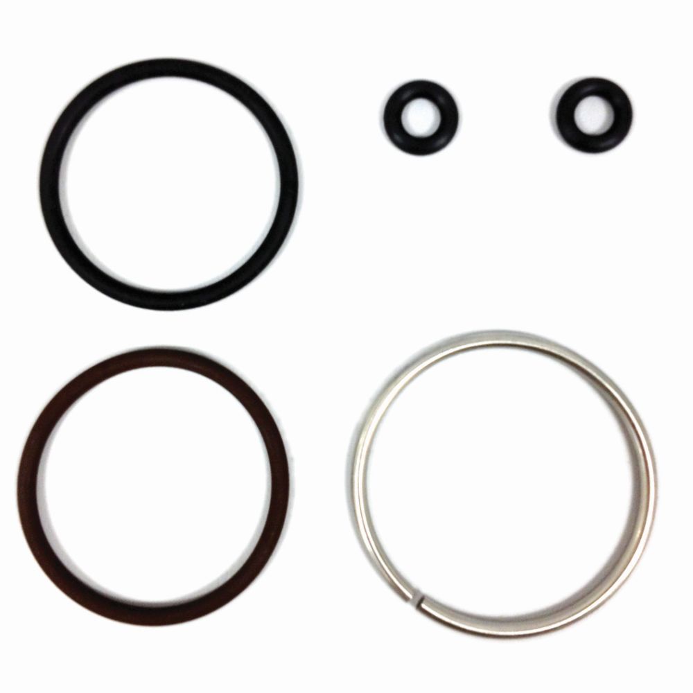 WSM Fuel Injector Repair Kit for Johnson / Evinrude 40 - 300 Hp E-Tec 04-10