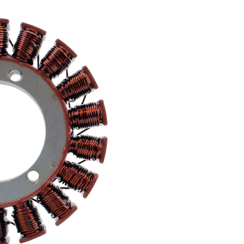 Load image into Gallery viewer, RMStator Generator Stator RM01063

