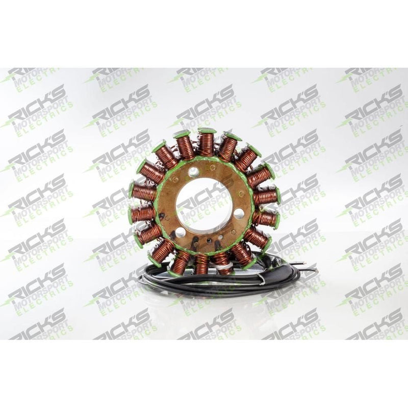 Load image into Gallery viewer, Ricks Stator 21-309

