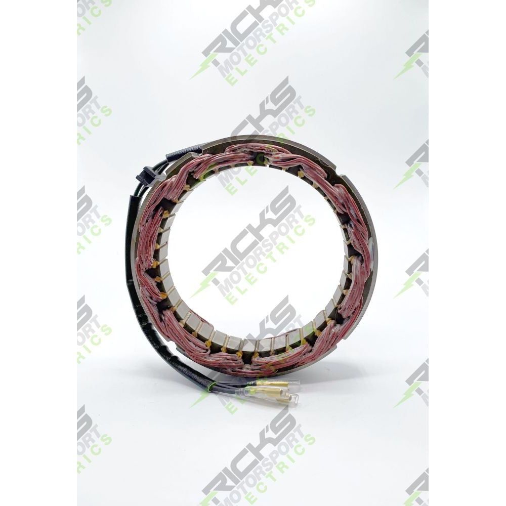 Ricks Stator 21-170