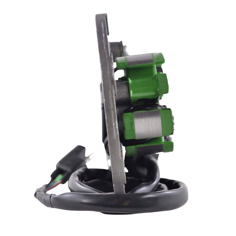 Load image into Gallery viewer, RMStator Stator RM01454
