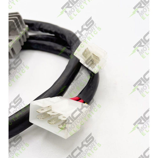 Ricks Hot Shot Series Rectifier-Regulator 10-331H