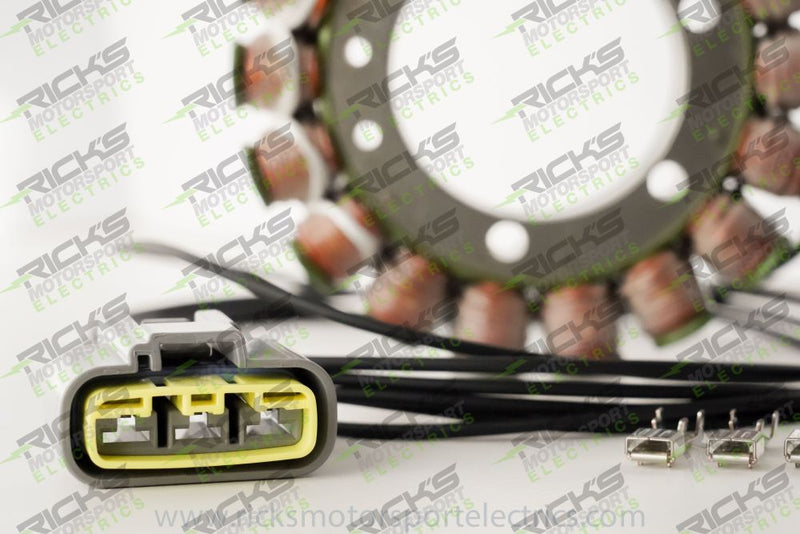 Load image into Gallery viewer, Ricks Stator 21-428
