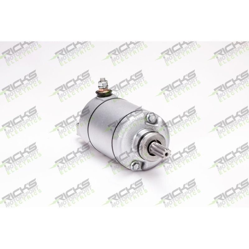 Load image into Gallery viewer, Ricks Starter Motor 61-308
