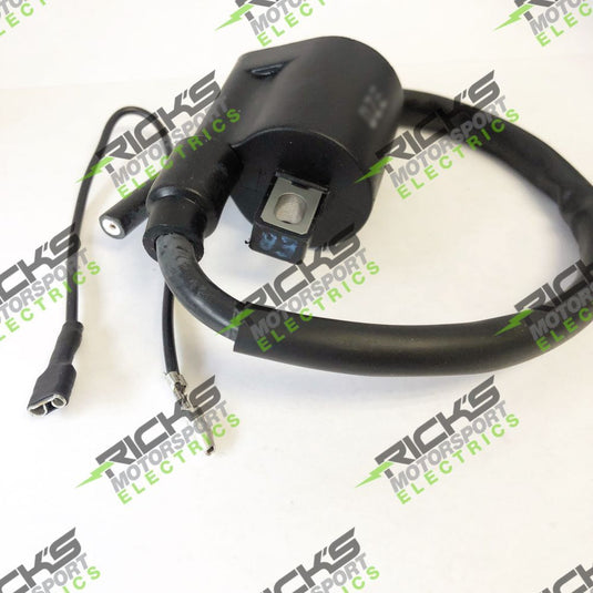 Ricks Ignition Coil 23-301