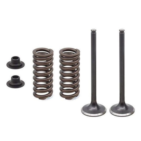 Psychic Exhaust Valve Kit XU-09566EK