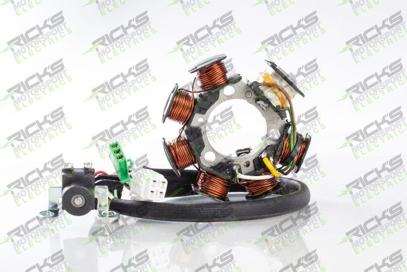 Load image into Gallery viewer, Ricks Stator For Yamaha TTR90 2000-2004 21-930
