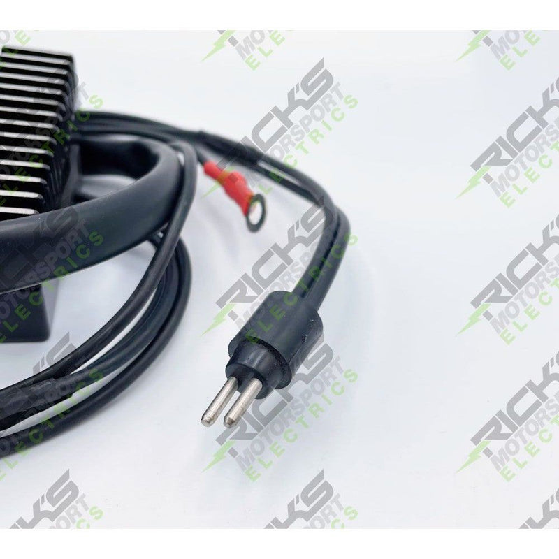 Load image into Gallery viewer, Ricks Rectifier-Regulator 10-916B
