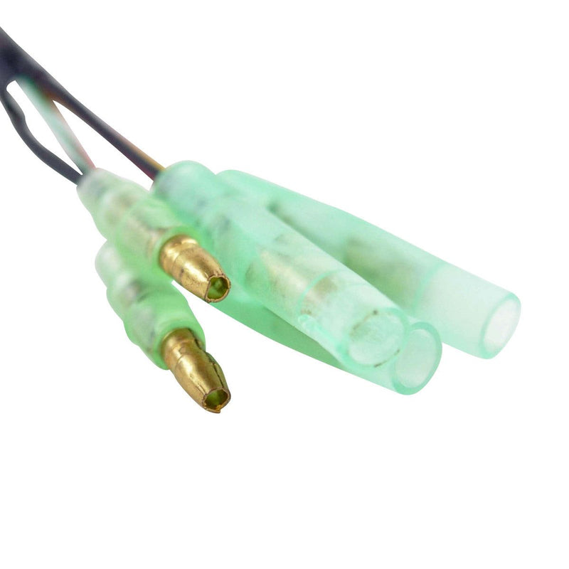 Load image into Gallery viewer, RMStator High Output Stator RM01091
