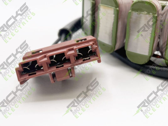 Ricks Stator 21-003