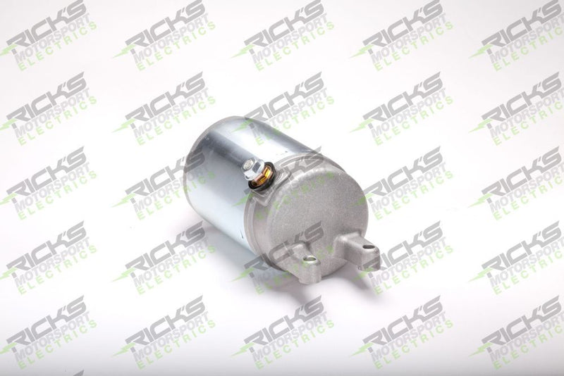 Load image into Gallery viewer, Ricks Starter Motor 61-306
