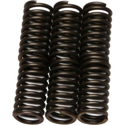 Load image into Gallery viewer, EBC CSK Series Heavy Duty Clutch Spring Kit for Kawasaki KDX200 1995-2006
