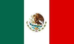 Load image into Gallery viewer, Mexican Flag SEAT ARMOUR™ CAR SEAT TOWEL
