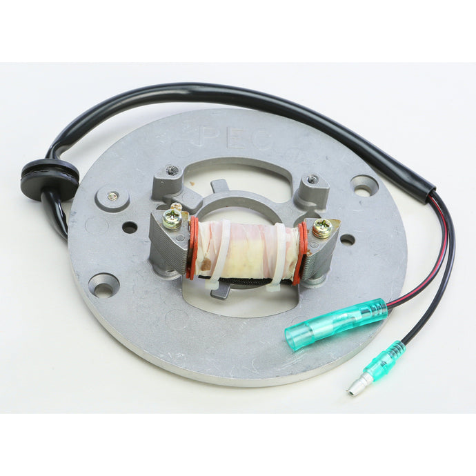 Ricks Stator 21-906