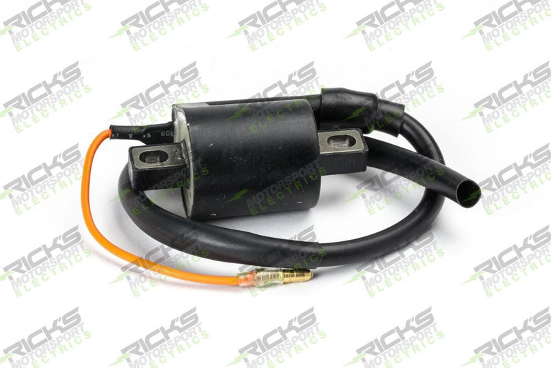 Load image into Gallery viewer, Ricks Ignition Coil 23-405
