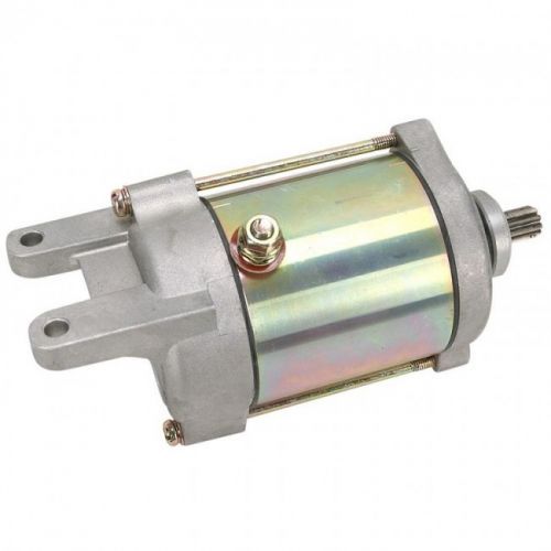 Load image into Gallery viewer, Starter Motor Can-Am DS250 CE 2006-2007 Ricks
