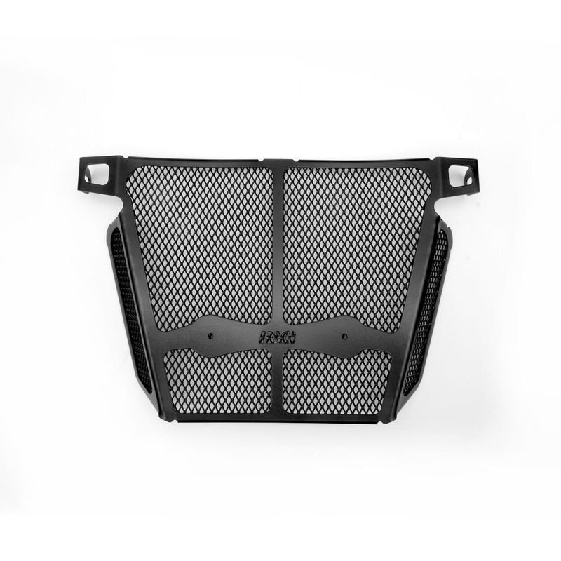 Load image into Gallery viewer, R&amp;G Racing Titanium Downpipe Grill For 2020-2024 BMW F900R DG0042TI
