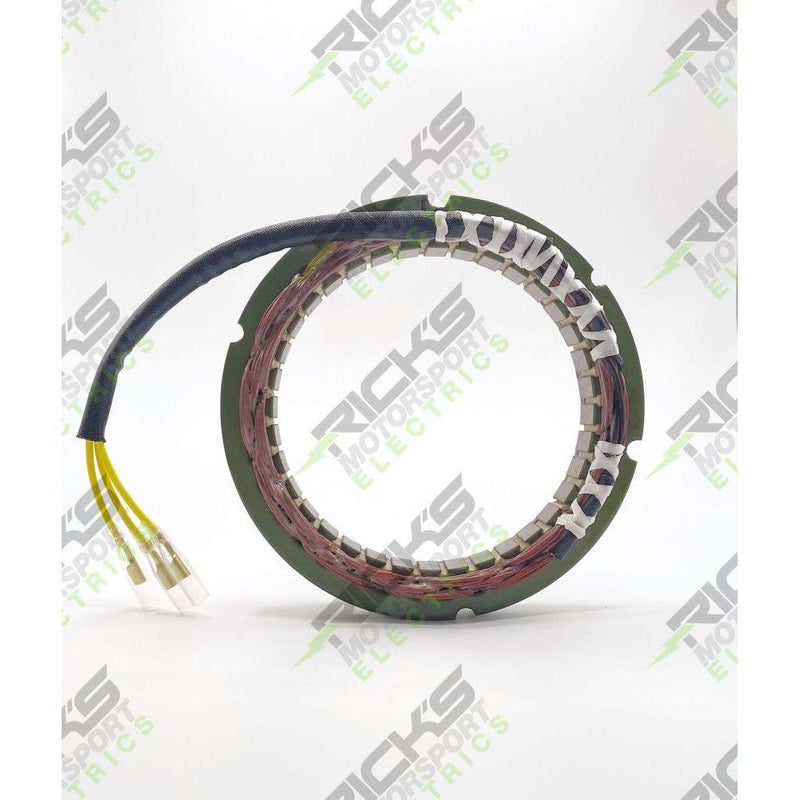 Load image into Gallery viewer, Ricks Stator 21-171
