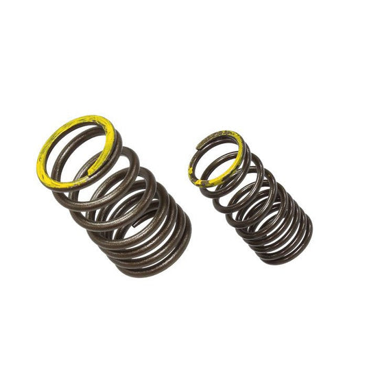Exhaust Valve Spring XU-09563ES
