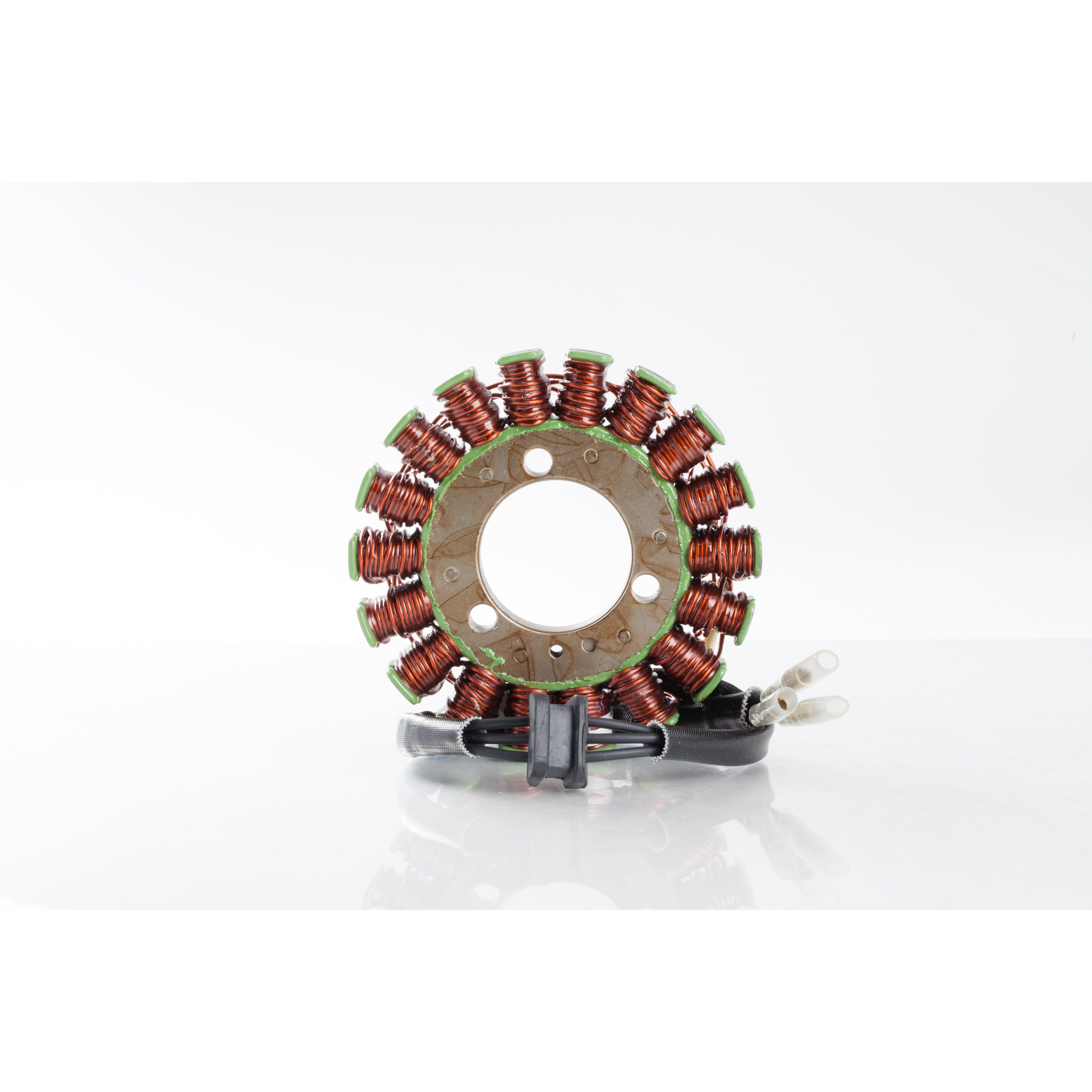 Ricks Stator 21-211
