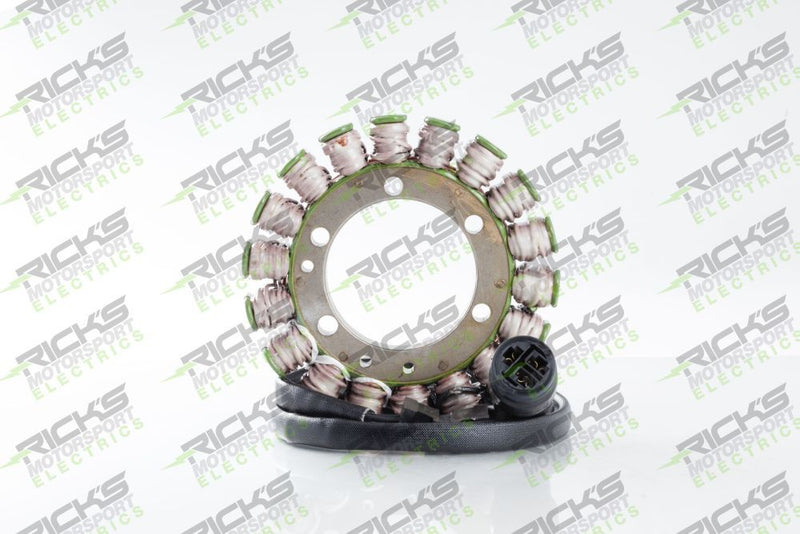 Load image into Gallery viewer, Ricks Hot Shot Series Stator 21-713H

