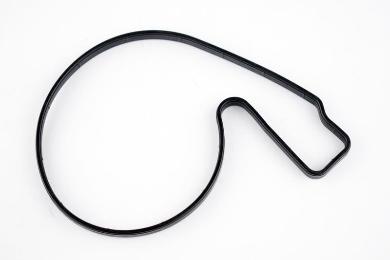 Load image into Gallery viewer, WSM Water Pump Housing O-Ring for Sea-Doo 1503 / 1630 4-Tec 02-23 008-599-12
