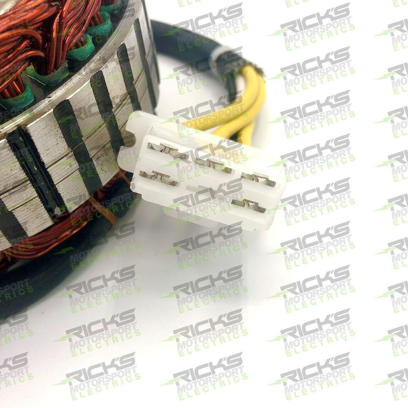 Load image into Gallery viewer, Ricks Stator For Honda Nighthawk 700S CB700SC 1984-1986 21-157
